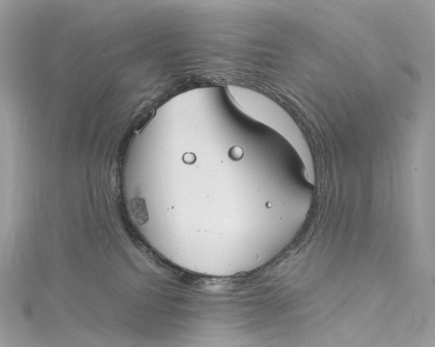 X0000115210088200911181537