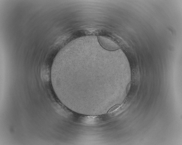 X0000115210090200911181537