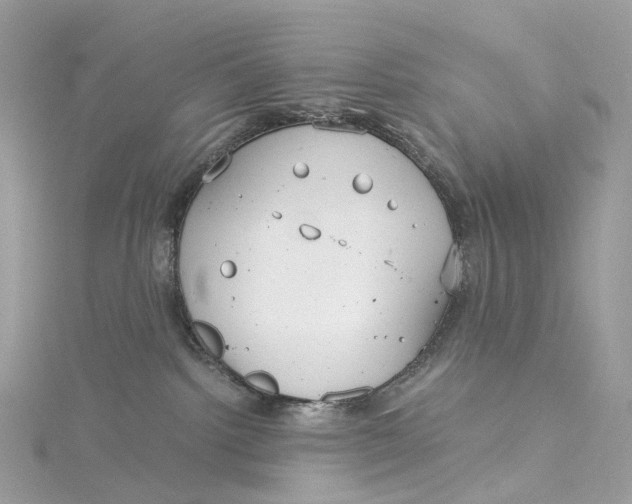 X0000115210092200911181537