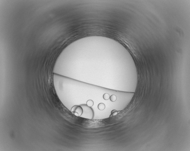 X0000115210093200911181537