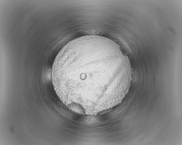 X0000115210095200911181537