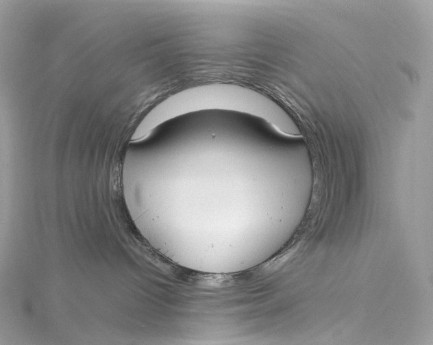 X0000115210096200911181537