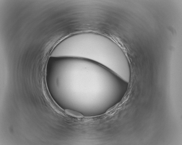 X0000115210097200911181537