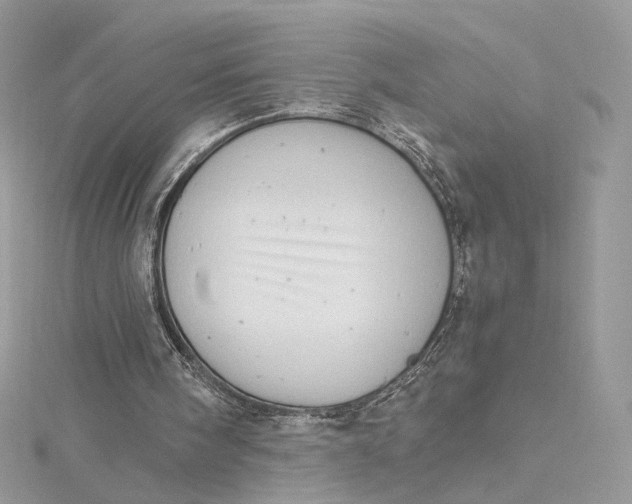 X0000115210098200911181537