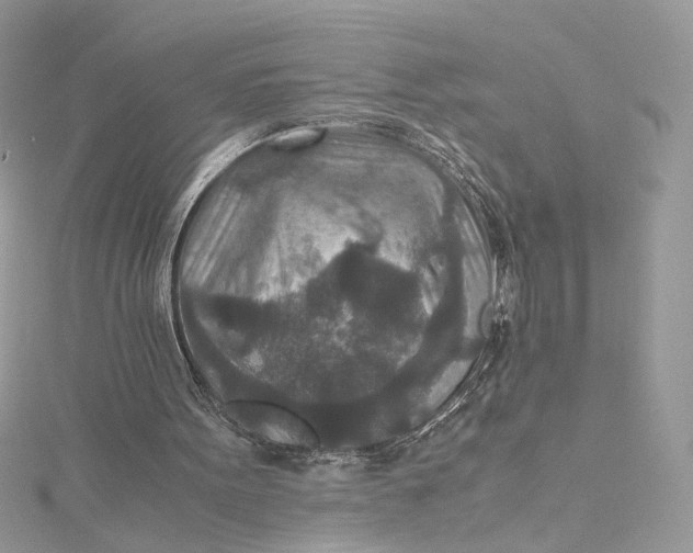 X0000115210099200911181537