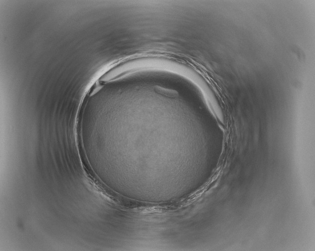 X0000115210100200911181537