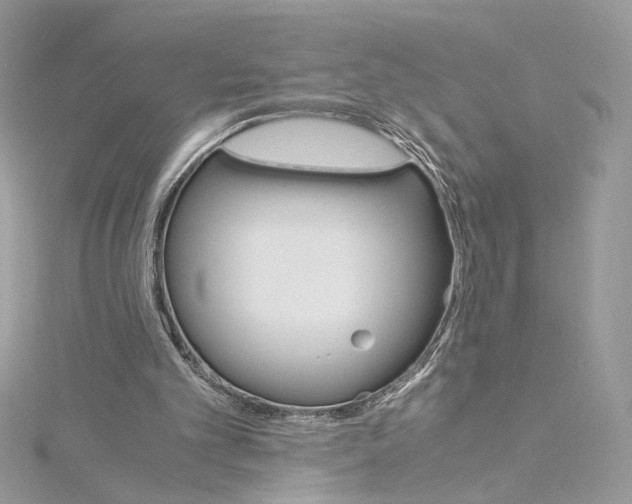 X0000115210101200911181537