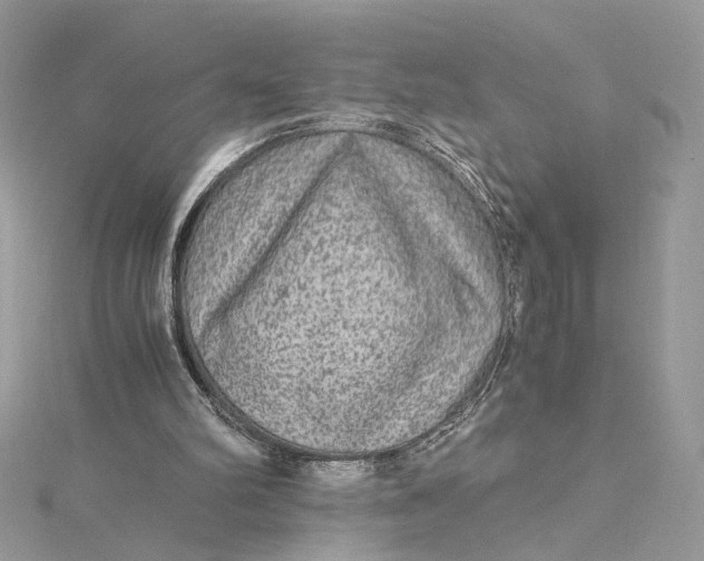 X0000115210102200911181537