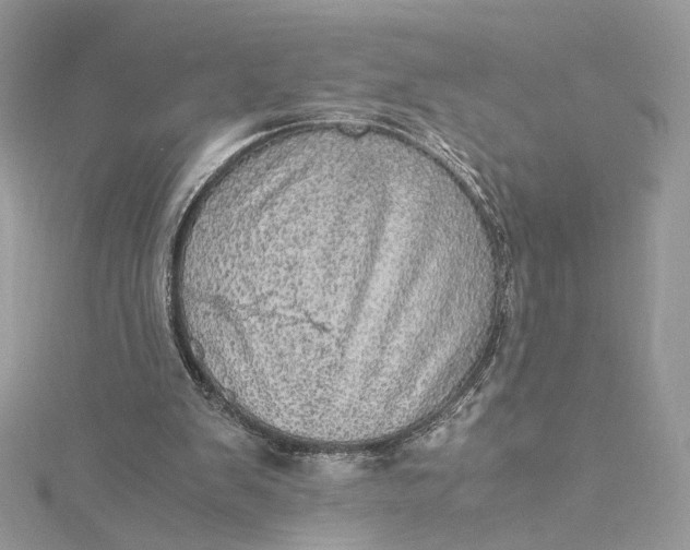 X0000115210103200911181536