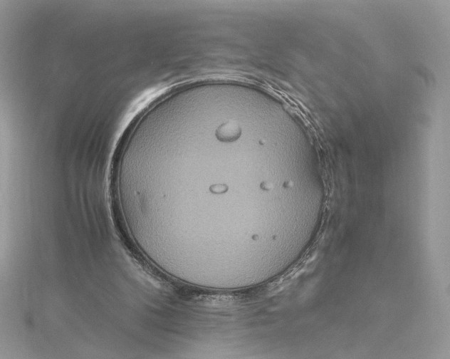 X0000115210104200911181536