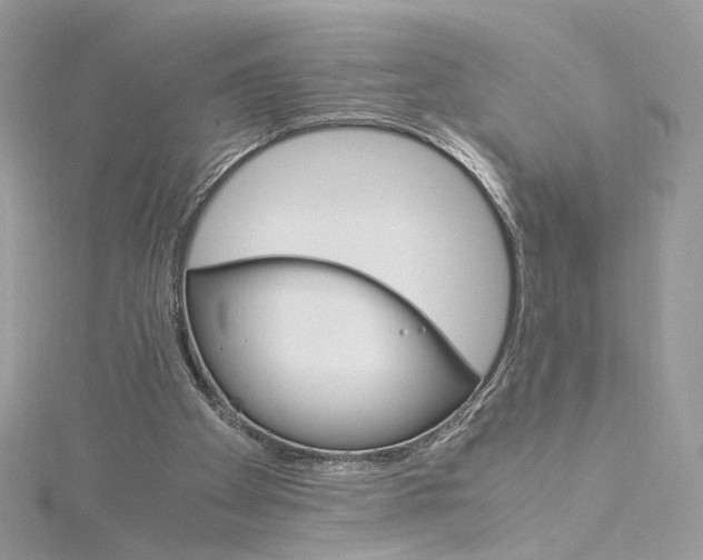 X0000115210105200911181536