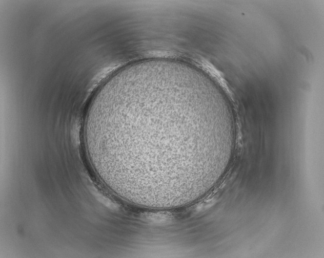 X0000115210106200911181536