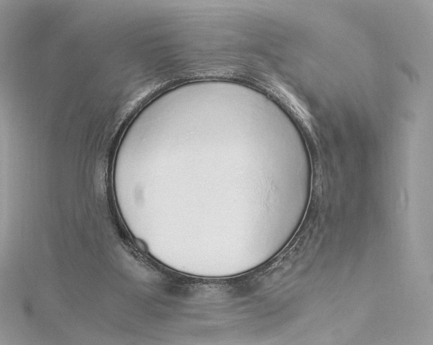 X0000115210107200911181536