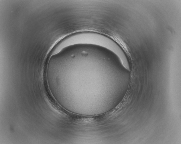 X0000115210108200911181536