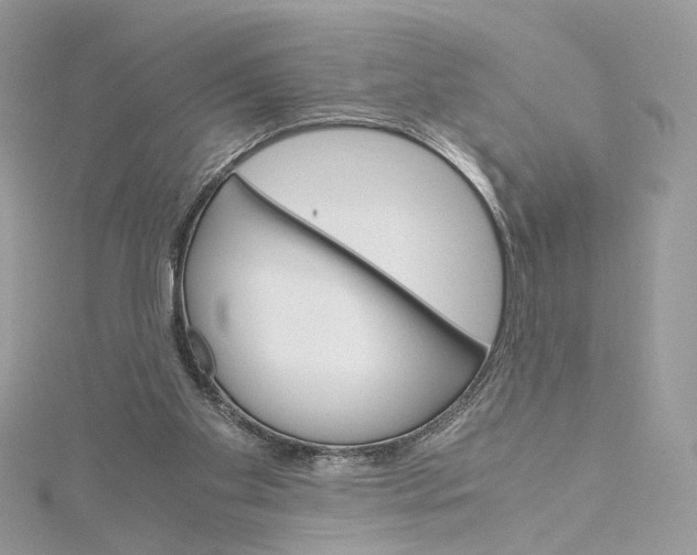 X0000115210109200911181536