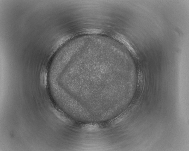 X0000115210110200911181536