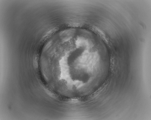 X0000115210114200911181536