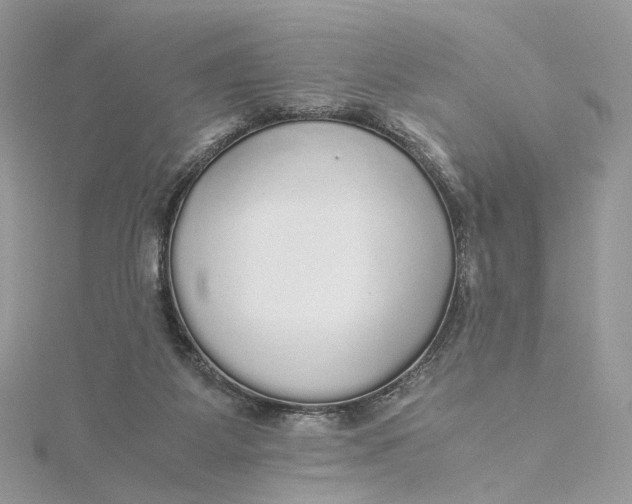 X0000115210115200911181536