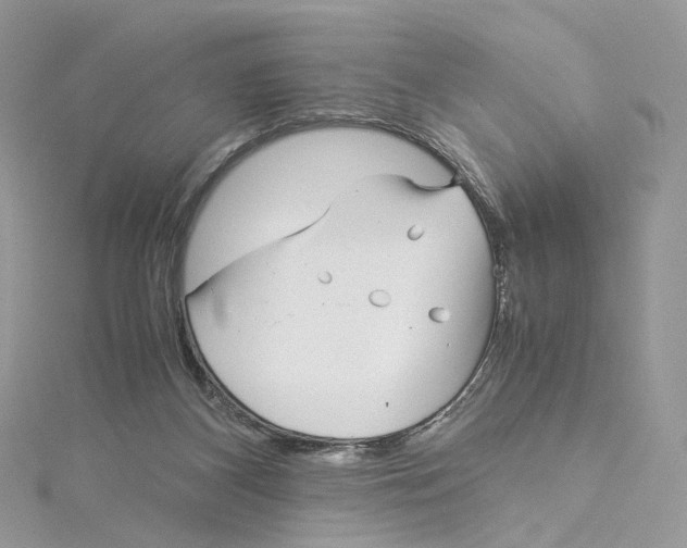 X0000115210116200911181536