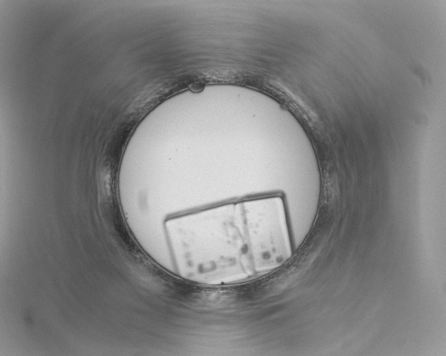 X0000115210117200911181536