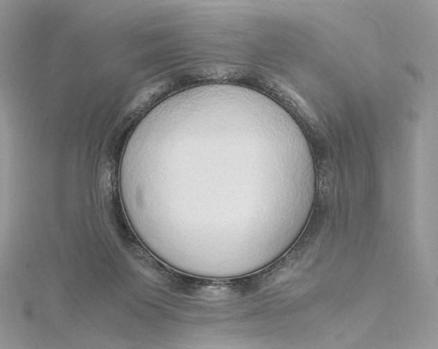 X0000115210119200911181536