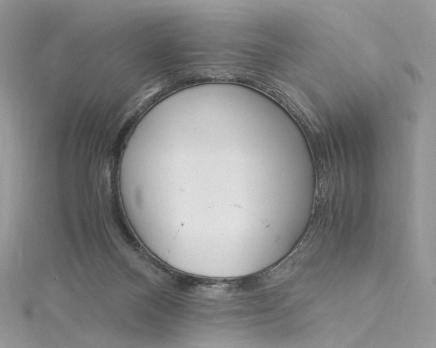 X0000115210120200911181536