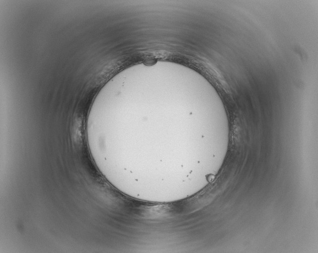 X0000115210122200911181536