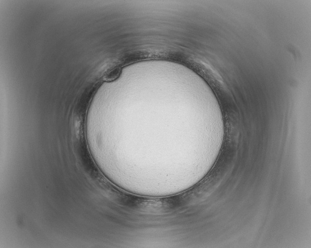 X0000115210123200911181536