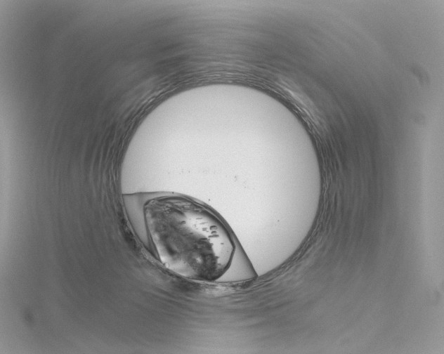 X0000115210125200911181536