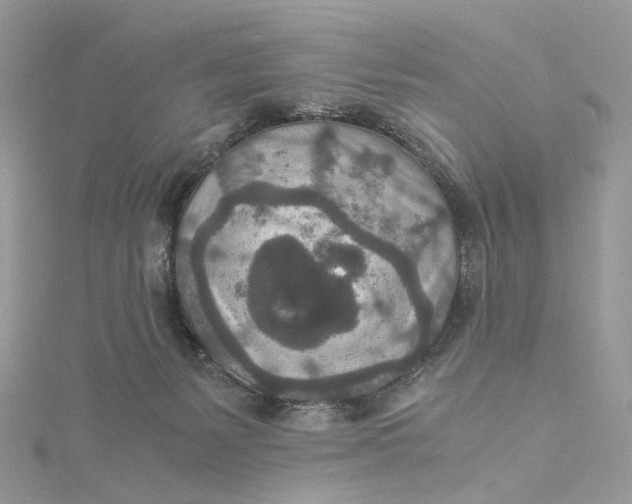 X0000115210127200911181536