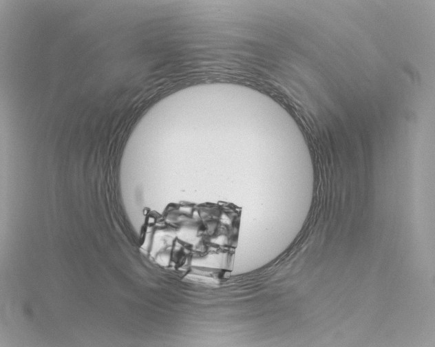 X0000115210129200911181536