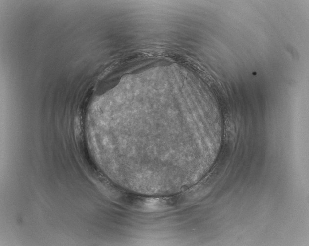 X0000115210130200911181536