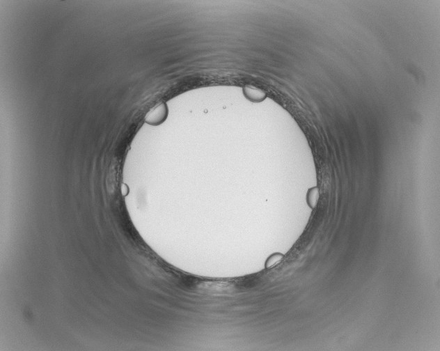 X0000115210133200911181536