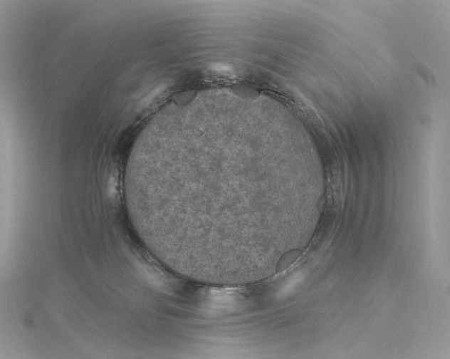 X0000115210134200911181536