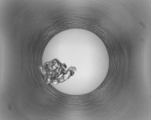 X0000115210137200911181536