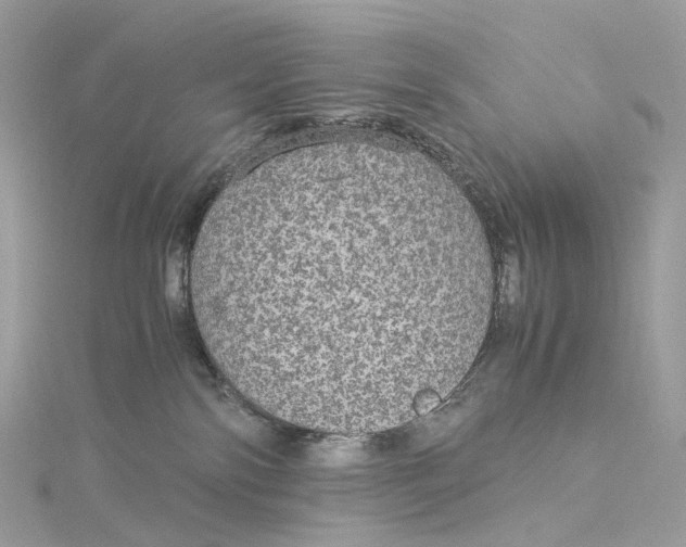 X0000115210138200911181536