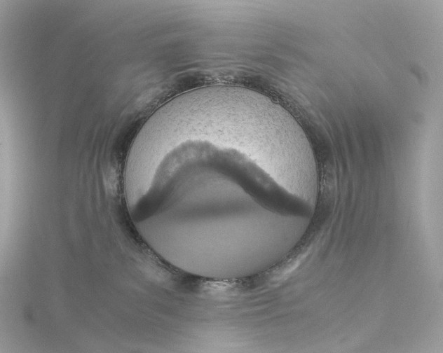 X0000115210139200911181536