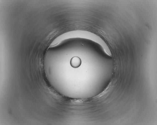 X0000115210140200911181536