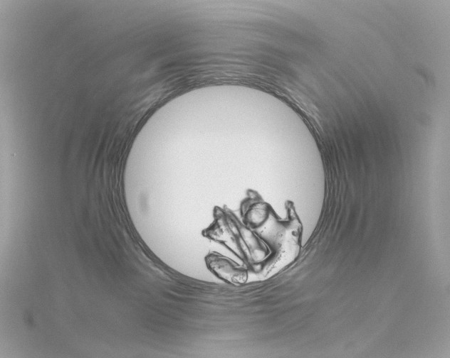 X0000115210141200911181536