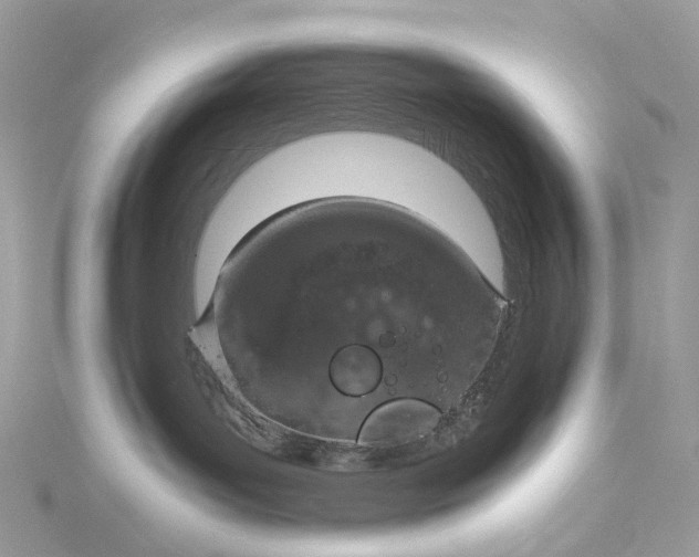 X0000115210143200911181536