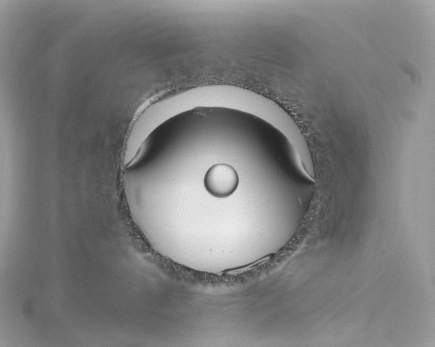 X0000115210144200911181536