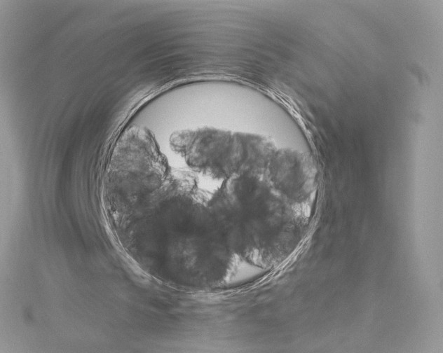 X0000115210145200911181535