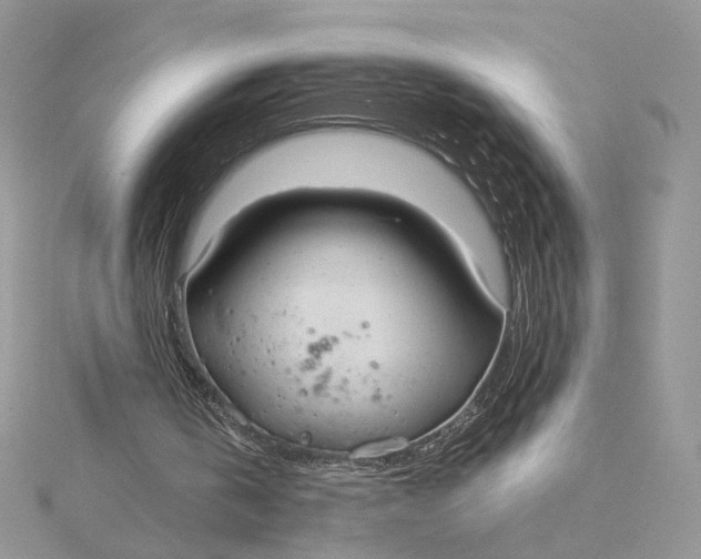 X0000115210146200911181535