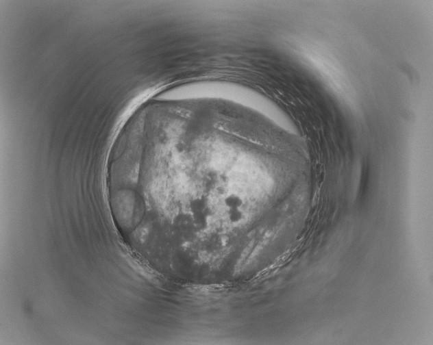 X0000115210147200911181535