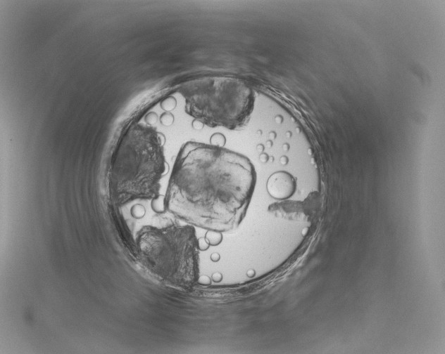 X0000115210149200911181535