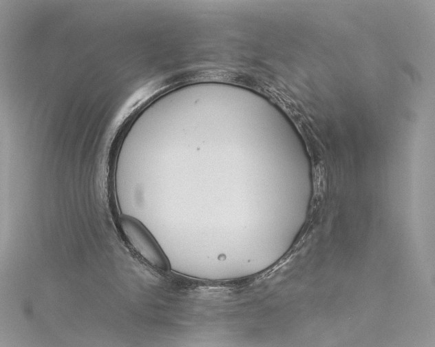 X0000115210150200911181535