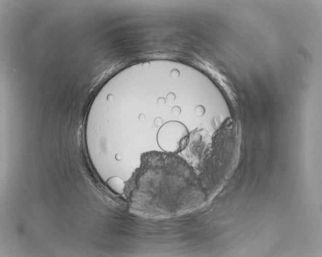 X0000115210153200911181535