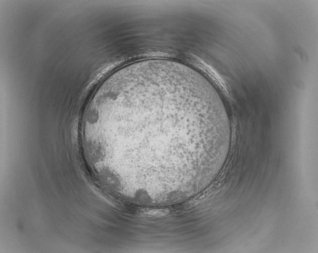 X0000115210155200911181535