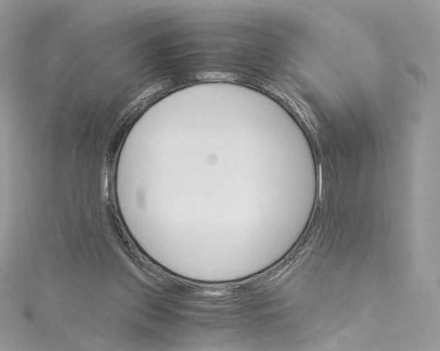 X0000115210157200911181535