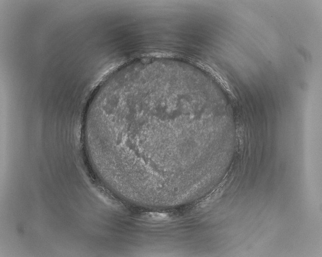 X0000115210159200911181536